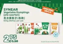 Amazing Oriëntal syneare vegetable dumplings aanbieding