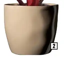 Hornbach Bloempot "Arona" aanbieding
