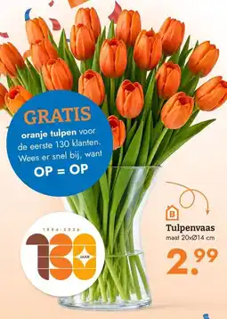 Blokker gratis oranje tulpen aanbieding