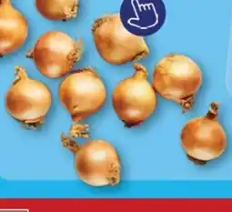 ALDI Uien aanbieding