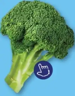 ALDI Broccoli aanbieding