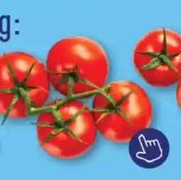 ALDI Biologische trostomaten aanbieding