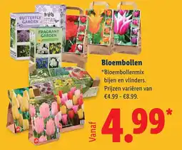 Lidl Bloembollen aanbieding