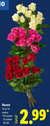 Lidl Rozen aanbieding