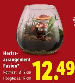 Lidl Herfst-arrangement Fusion* aanbieding