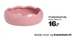 Kwantum Fruitschaal Lily aanbieding