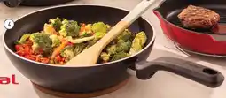 ALDI Tefal Pan Wokpan aanbieding
