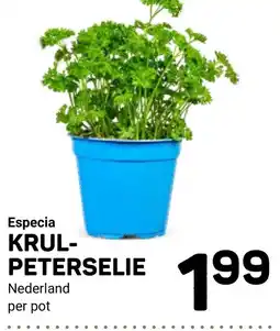 Ekoplaza Especia KRUL-PETERSSELIE aanbieding