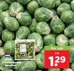 PLUS PLUS Nederlandse Spruiten aanbieding