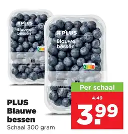 PLUS PLUS Blauwe bessen aanbieding