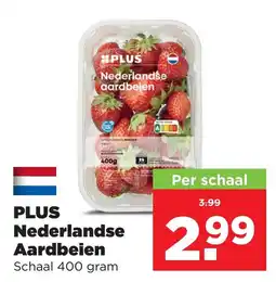PLUS PLUS Nederlandse Aardbeien aanbieding