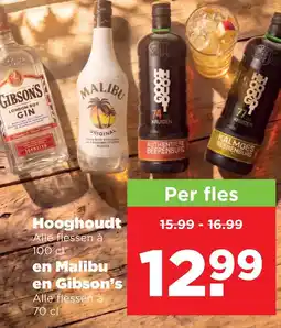 PLUS Hooghoudt en Malibu en Gibson's aanbieding