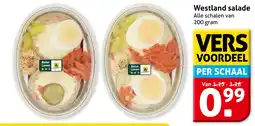 Hoogvliet Alle Westland salade aanbieding