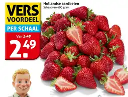 Hoogvliet Hollandse aardbeien aanbieding