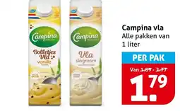 Hoogvliet Alle Campina vla aanbieding