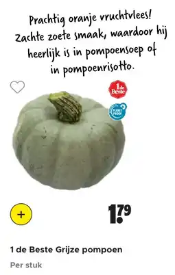 Dirk 1 de Beste Grijze pompoen aanbieding