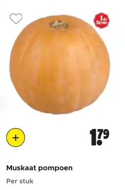 Dirk Muskaat pompoen aanbieding