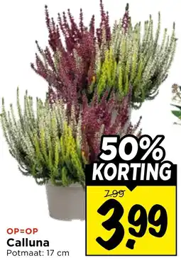 Vomar Voordeelmarkt Calluna aanbieding