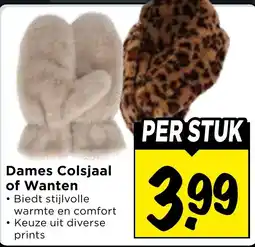 Vomar Voordeelmarkt Dames Colsjaal of Wanten aanbieding