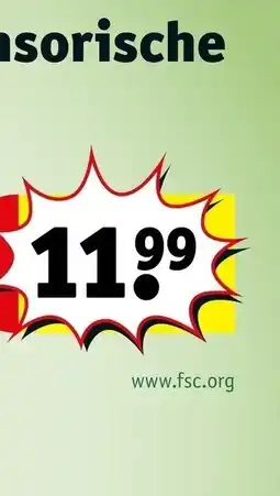 Kruidvat LEGO Pokémon 30730 Trainer Benodigdheden aanbieding