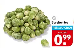 Hoogvliet Spruiten los aanbieding