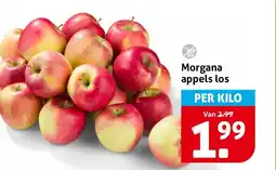 Hoogvliet Morgana appels los aanbieding