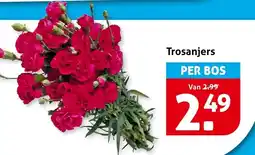 Hoogvliet Trosanjers aanbieding