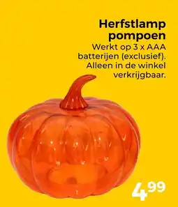 Trekpleister Herfstlamp pompoen aanbieding