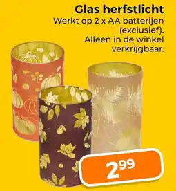 Trekpleister Glas herfstlicht aanbieding