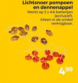 Trekpleister Lichtsnoer pompoen en dennenappel aanbieding