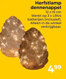 Trekpleister Herfstlamp dennenappel aanbieding