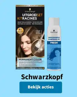 Plein.nl Schwarzkopf uitgroeiset kit racines aanbieding