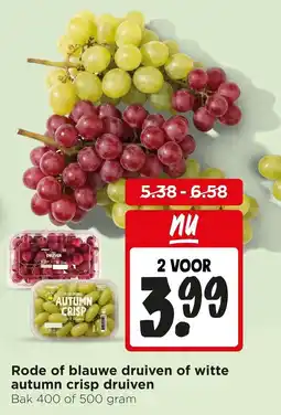Jumbo Rode of blauwe druiven of witte autumn crisp druiven aanbieding