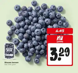 Jumbo Blauwe bessen aanbieding