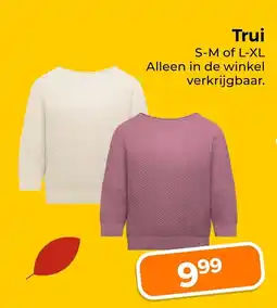 Trekpleister Trui aanbieding