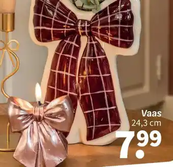 Vaas