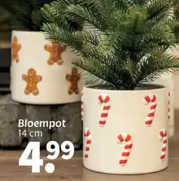 Wibra Bloempot aanbieding
