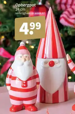 Wibra Opbergpot aanbieding