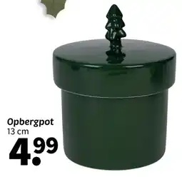Wibra Opbergpot aanbieding