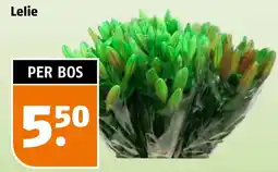 Poiesz Lelie aanbieding