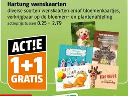 Poiesz Hartung wenskaarten aanbieding
