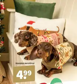 Wibra Honden kersttrui aanbieding