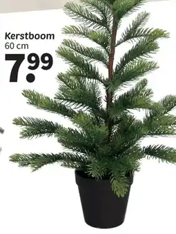 Wibra Kerstboom aanbieding