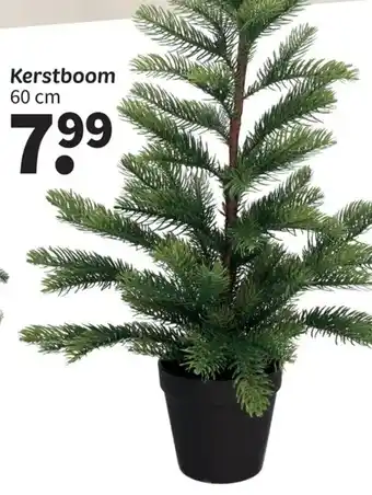 Kerstboom