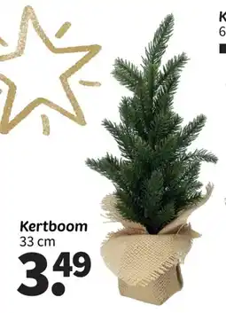 Wibra Kertboom aanbieding