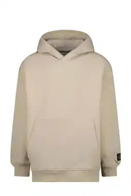 Wehkamp Raizzed hoodie beige aanbieding