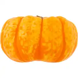 Jumbo Mini Pompoen aanbieding