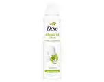 De Online Drogist Dove Advanced Care Matcha Green Tea Deospray 150ML aanbieding