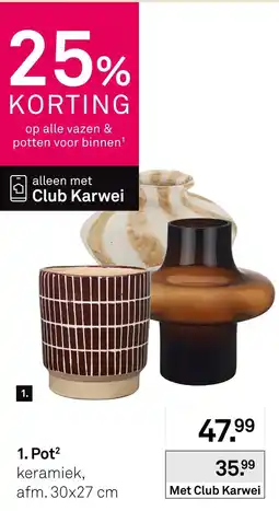 Karwei Pot aanbieding