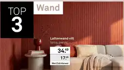 Karwei Lattenwand vilt terra aanbieding